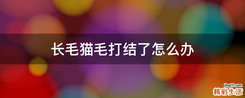 长毛猫毛打结了怎么办