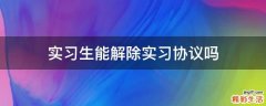 实习生能解除实习协议吗