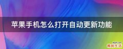 苹果手机怎么打开自动更新功能