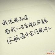3 马齿苋子