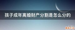 孩子成年离婚财产分割是怎么分的