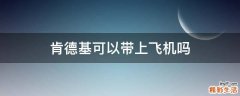 肯德基可以带上飞机吗