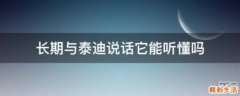 长期与泰迪说话它能听懂吗