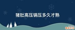 猪肚高压锅压多久才熟