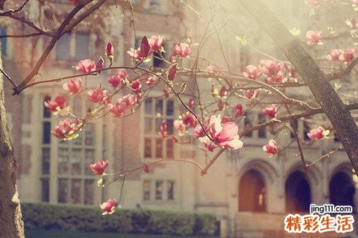空肠、回肠憩室