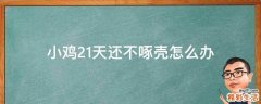 小鸡21天还不啄壳怎么办