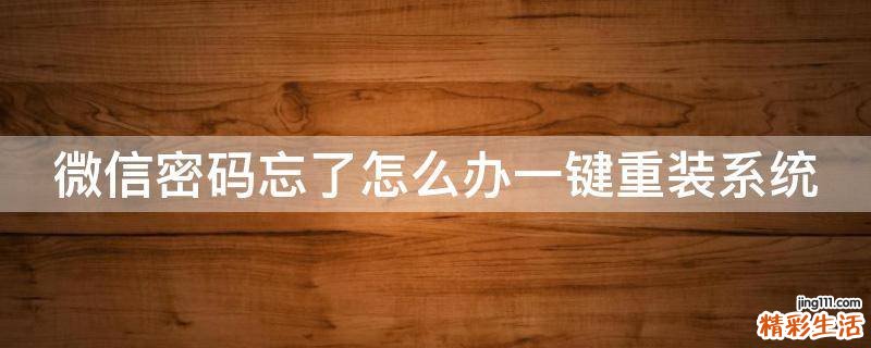 微信密码忘了怎么办一键重装系统