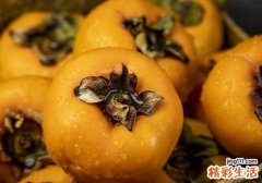 吃柿子肚子胀气怎么办 吃柿子舌头发麻怎么回事