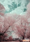 怎么下馄饨不破