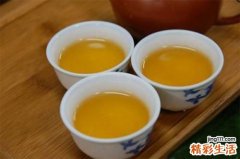 消化不良喝什么茶