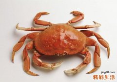 吃螃蟹拉肚子怎么回事