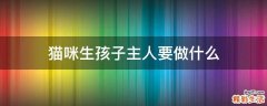 猫咪生孩子主人要做什么