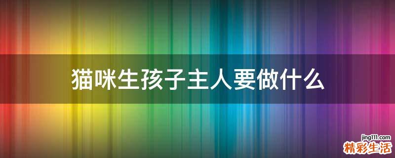 猫咪生孩子主人要做什么