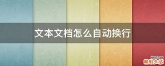 文本文档怎么自动换行