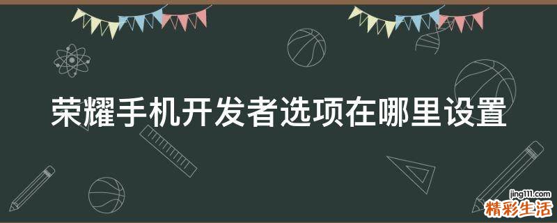 荣耀手机开发者选项在哪里设置