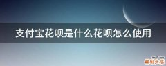 支付宝花呗是什么花呗怎么使用