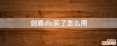 剑盾dlc买了怎么用