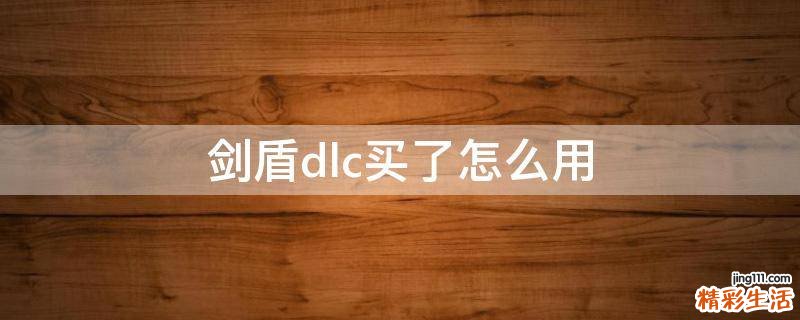 剑盾dlc买了怎么用