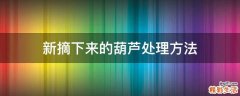 新摘下来的葫芦处理方法