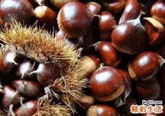 吃了板栗肚子疼 吃了板栗肚子疼怎么办