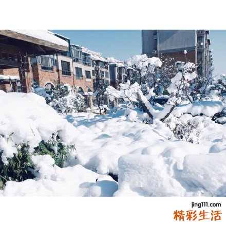 帕金森病的前兆都有哪些