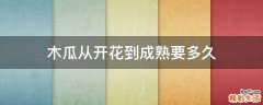 木瓜从开花到成熟要多久
