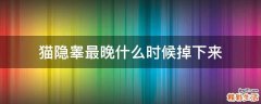 猫隐睾最晚什么时候掉下来