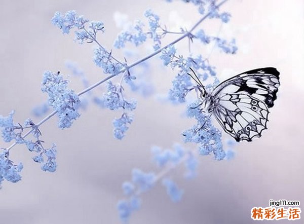 3 维医概览-买热孜学说