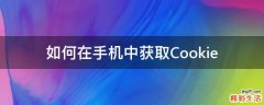 如何在手机中获取Cookie