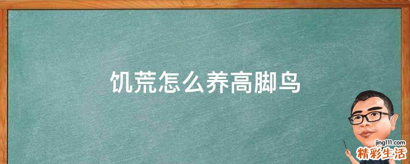 饥荒怎么养高脚鸟