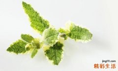 薄荷会导致宫寒吗 如何判断是否宫寒