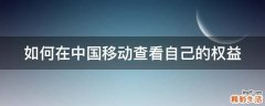 如何在中国移动查看自己的权益