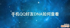 手机QQ好友DNA如何查看