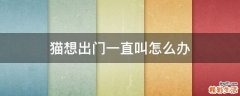 猫想出门一直叫怎么办