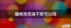 猫咪洗完澡不吹可以吗