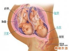 产褥期妇女生殖系统的生理变化