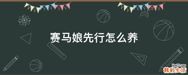 赛马娘先行怎么养