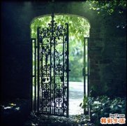 肠梗阻的常见病因