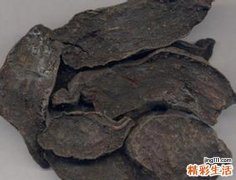 抗衰老的中药有哪些