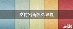 支付密码怎么设置