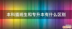 本科插班生和专升本有什么区别