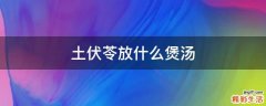 土伏苓放什么煲汤