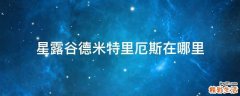 星露谷德米特里厄斯在哪里