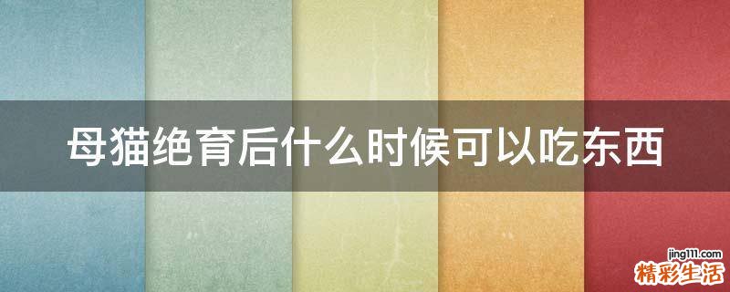 母猫绝育后什么时候可以吃东西