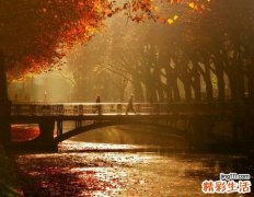 传染性淋巴细胞增多症