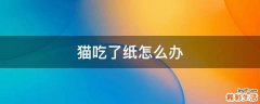 猫吃了纸怎么办