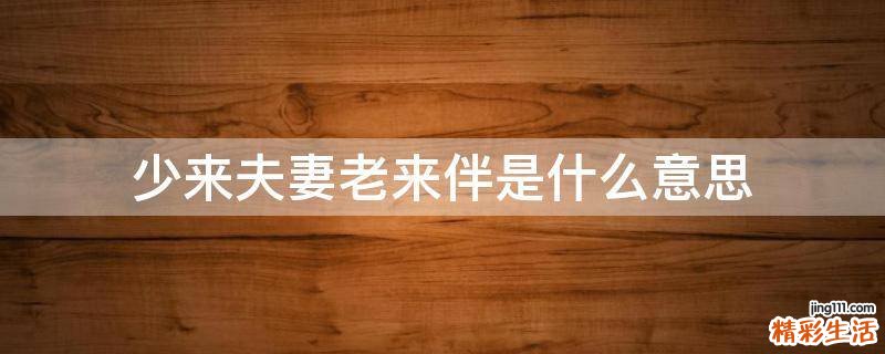 少来夫妻老来伴是什么意思