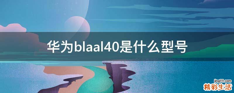 华为blaal40是什么型号