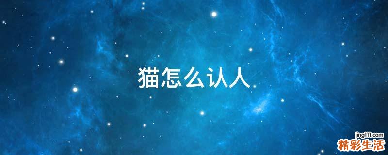 猫怎么认人