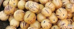 人参果可以直接吃吗 人参果里面的囊能吃吗